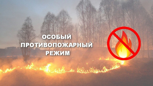 С 22 апреля - особый противопожарный режим
