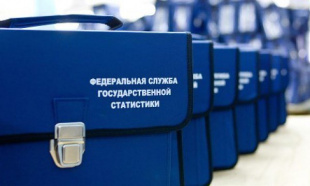 ВПН-2020: состоялось рабочее собрание контролеров Фрунзенского района