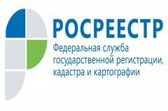 Кадастровая палата по Владимирской области информирует об электронном сервисе «Публичная кадастровая карта»