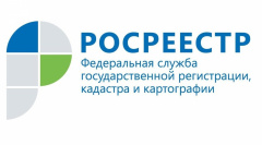 За 2017 год Кадастровая палата по Владимирской области предоставила сведения в электронном виде по 500 000 запросам