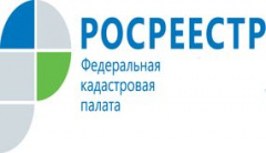 Специалисты Кадастровой палаты дали консультации в ходе общероссийского дня приёма граждан   