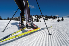 Информация для населения о правилах безопасности при катании на лыжах